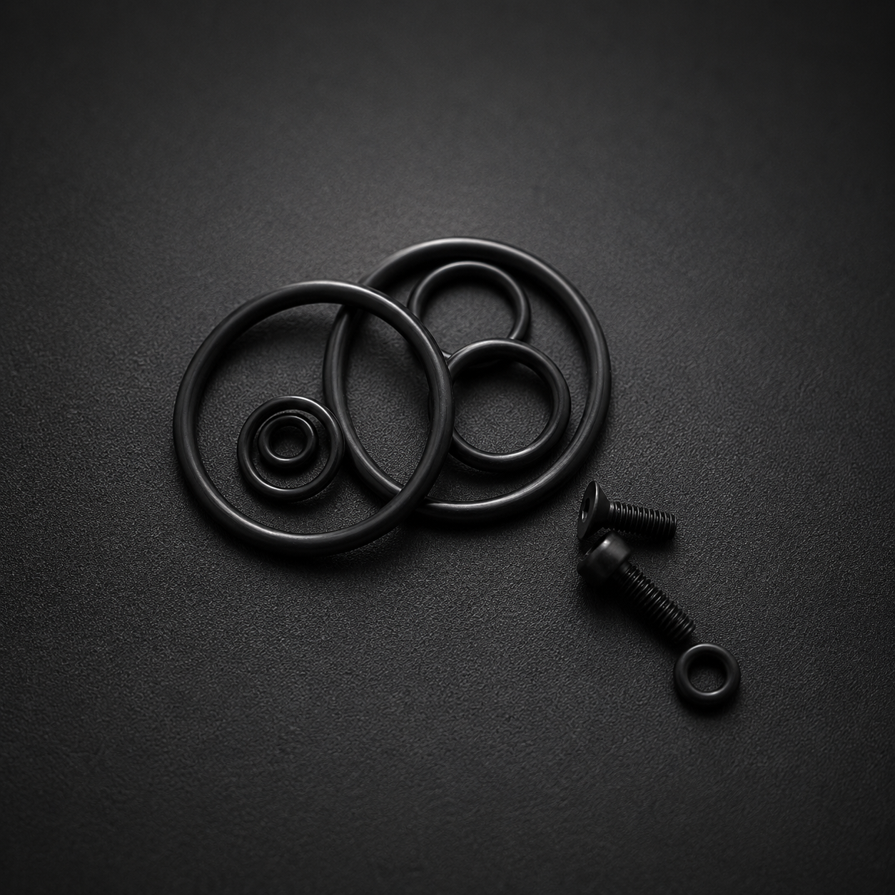 GK1 TWIN O-RING/HARDWARE KIT